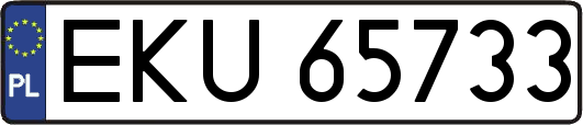 EKU65733