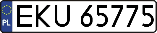 EKU65775