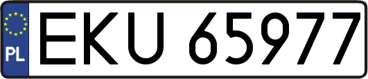EKU65977