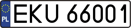 EKU66001
