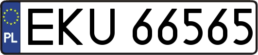 EKU66565