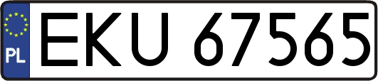 EKU67565