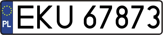 EKU67873