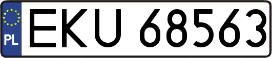 EKU68563