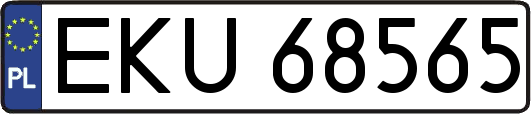 EKU68565