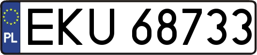 EKU68733
