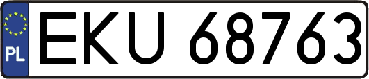 EKU68763