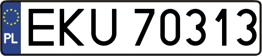 EKU70313