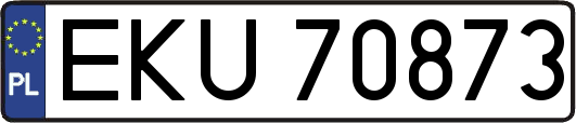 EKU70873