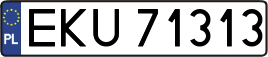 EKU71313