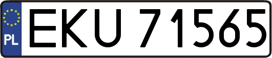 EKU71565