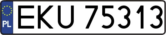 EKU75313