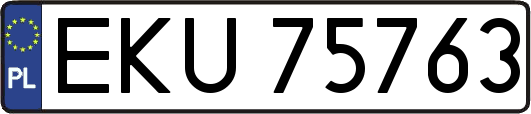 EKU75763