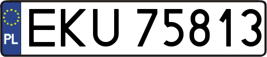 EKU75813
