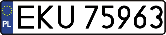 EKU75963
