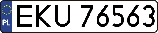 EKU76563