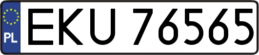 EKU76565