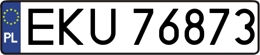 EKU76873