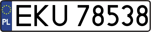 EKU78538