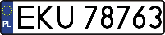 EKU78763