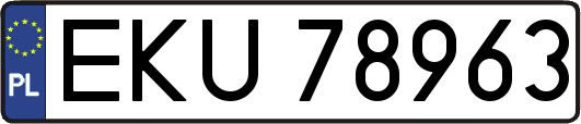 EKU78963