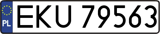 EKU79563