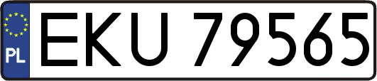 EKU79565