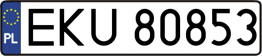 EKU80853