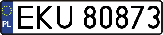 EKU80873