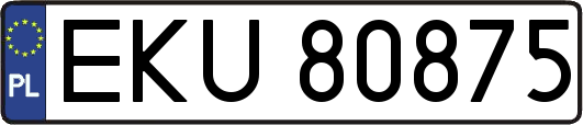 EKU80875