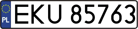 EKU85763