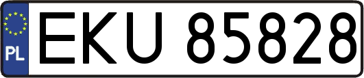 EKU85828