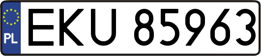 EKU85963