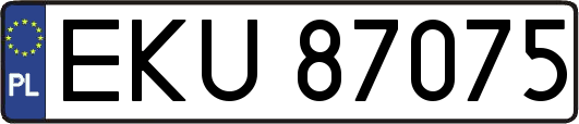EKU87075