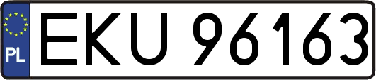 EKU96163