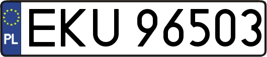 EKU96503