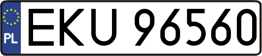 EKU96560