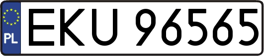 EKU96565