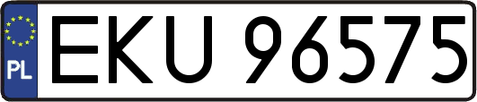 EKU96575