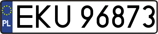 EKU96873