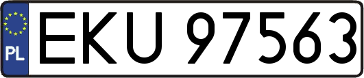 EKU97563
