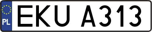 EKUA313
