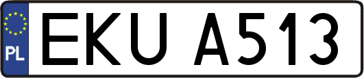 EKUA513