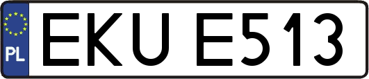 EKUE513