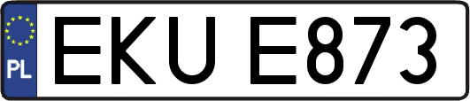 EKUE873