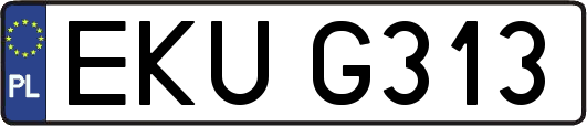 EKUG313