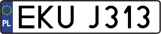 EKUJ313
