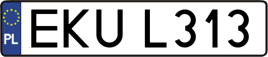 EKUL313