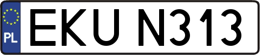 EKUN313