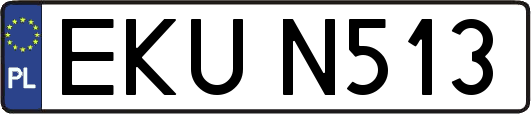 EKUN513